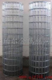 安平亚珀尔金属丝网制品厂 专业供应高品质玉米用电焊网